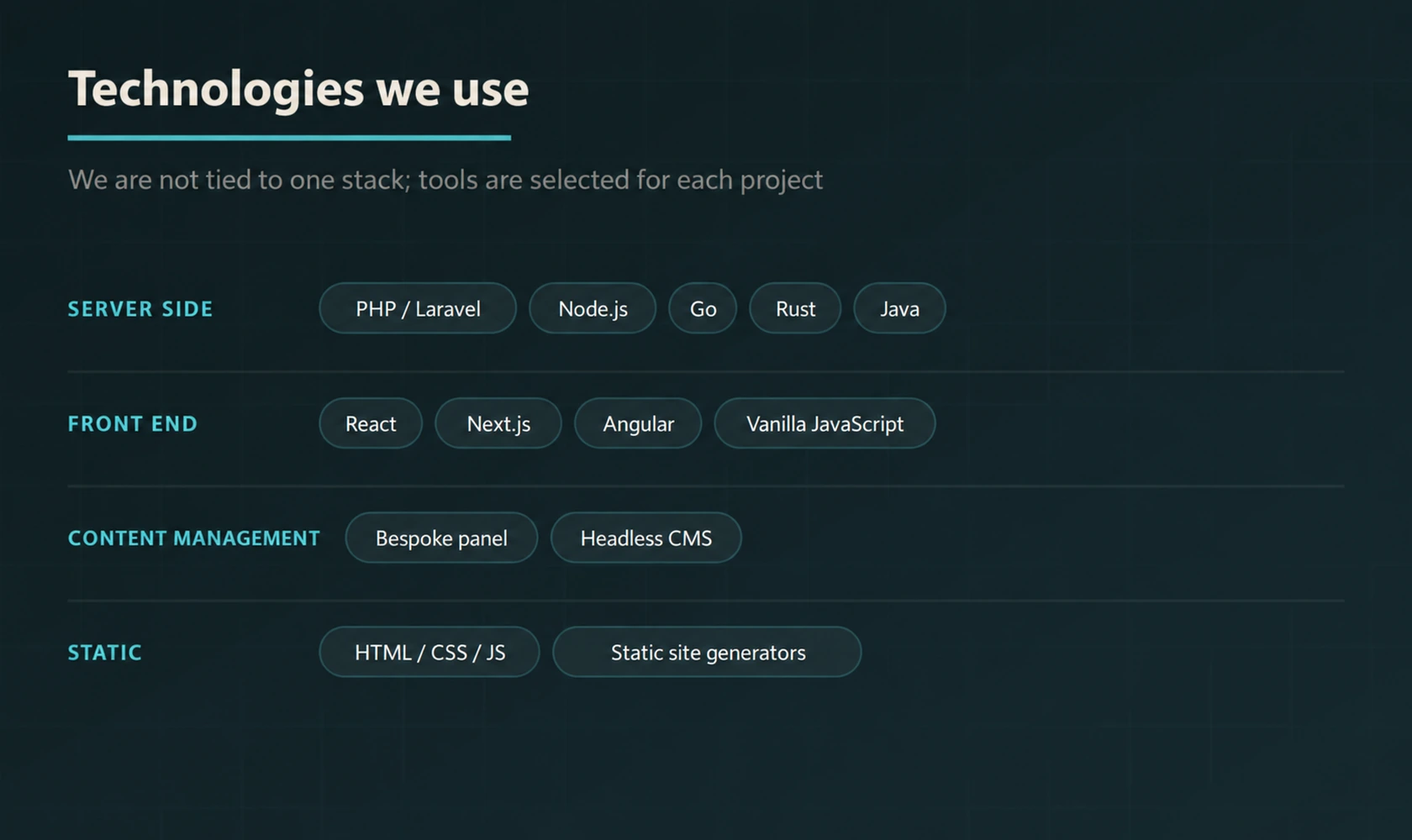 Technology stack options for bespoke websites across server side, front end, content management and static delivery.