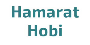 Hamarat Hobi logosu — Cloud Bilişim'in web sitesi referansı