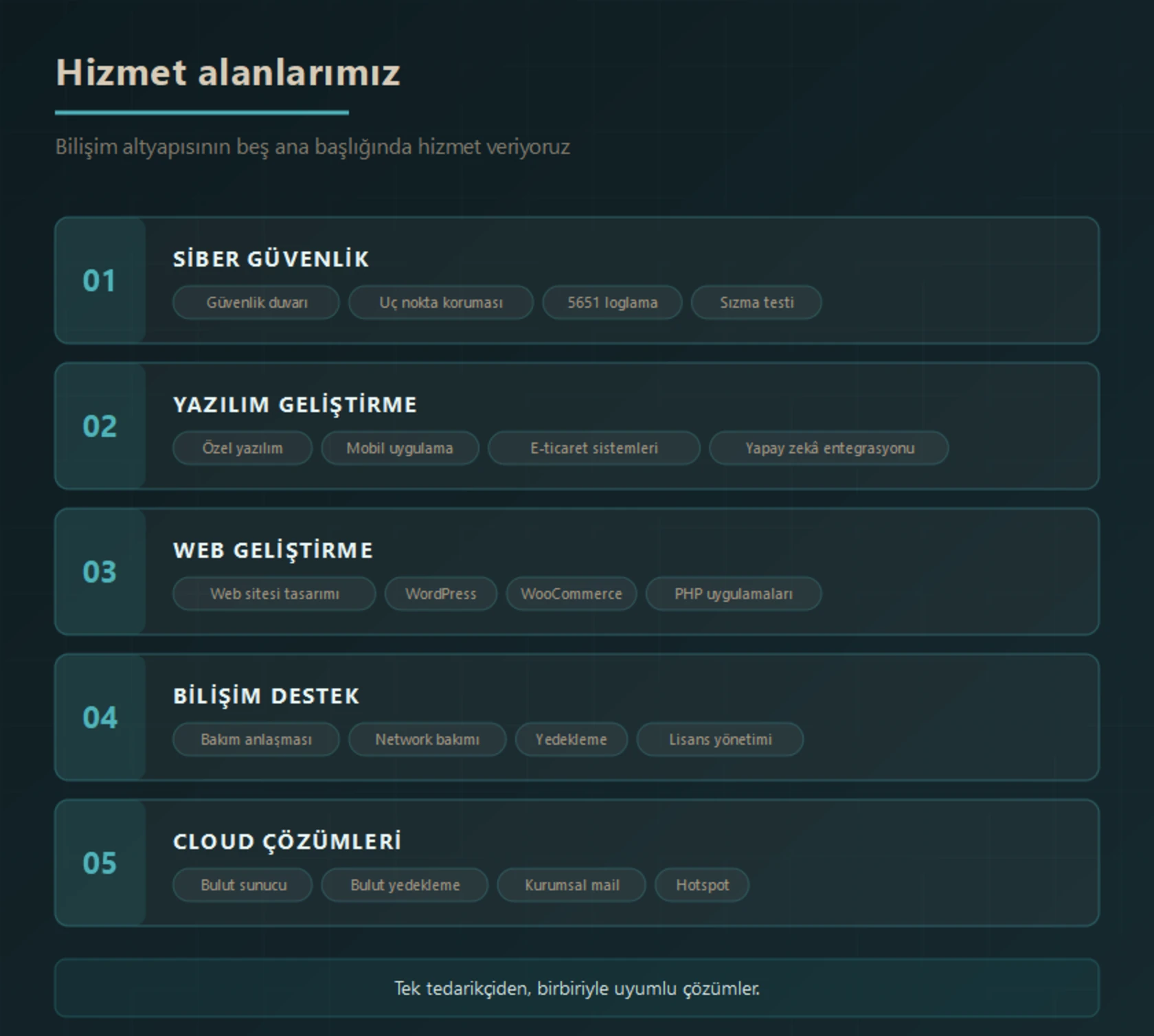 Cloud Bilişim'in beş ana hizmet alanı: siber güvenlik, yazılım geliştirme, web geliştirme, bilişim destek ve cloud çözümleri ile her birinin başlıca hizmet kalemleri