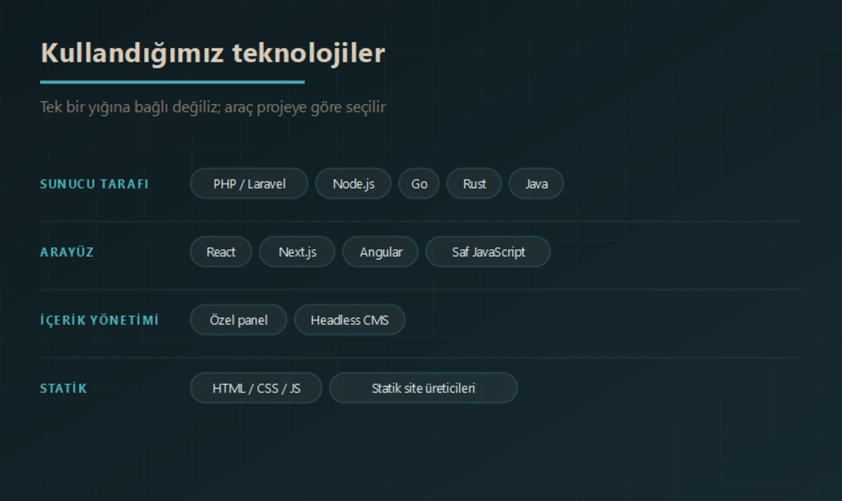 Kullanılan teknolojiler: sunucu tarafında PHP ve Laravel, Node.js, Go, Rust, Java; arayüzde React, Next.js, Angular ve saf JavaScript; içerik yönetiminde özel panel veya headless CMS; statik tarafta HTML, CSS, JavaScript ve statik site üreticileri